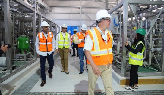 Gobierno supervisa avances de la central San Felipe I en Boca Chica