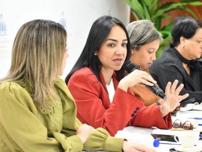 Ministra Faride Raful encabeza encuentro interinstitucional para fortalecer la atención a víctimas de violencia