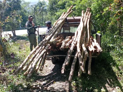 SENPA y Medio Ambiente realizan operativos contra delitos ambientales; 9 vehículos retenidos y 11 detenidos