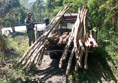 SENPA y Medio Ambiente realizan operativos contra delitos ambientales; 9 vehículos retenidos y 11 detenidos