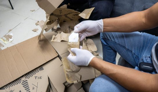 DNCD frustra envío a España de 735 láminas de cocaína ocultas en cajas de cartón