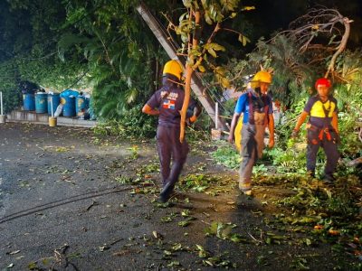 Bomberos y Alcaldía del Distrito Nacional retiran 21 árboles caídos tras fuertes vientos