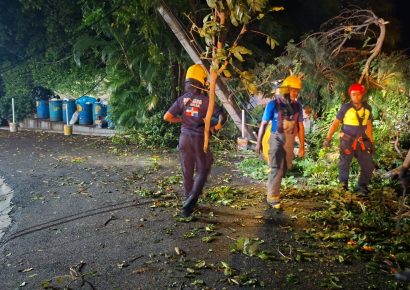 Bomberos y Alcaldía del Distrito Nacional retiran 21 árboles caídos tras fuertes vientos