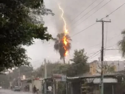 Rayo impacta palma y provoca incendio en vivienda de La Vega