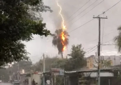 Rayo impacta palma y provoca incendio en vivienda de La Vega