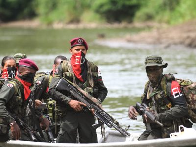 COLOMBIA en alerta: el conflicto armado y las economías ilegales empujan a 44 especies al borde de la extinción