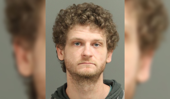 Actor Ethan Jamieson, de The Hunger Games, arrestado en Carolina del Norte por presunto ataque armado