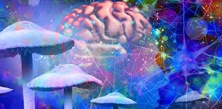 Trump firma orden ejecutiva para investigar psicodélicos como terapias de salud mental