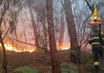 Más de 3.000 personas evacuadas debido a un incendio forestal en la Toscana italiana