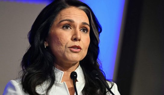 Tulsi Gabbard renuncia como directora de Inteligencia Nacional del gobierno de Trump, según Fox News