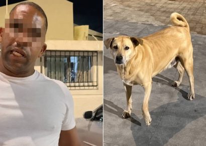 Cubano golpea a mexicano tras reclamo por ataque de perro y desata caos en Cancún