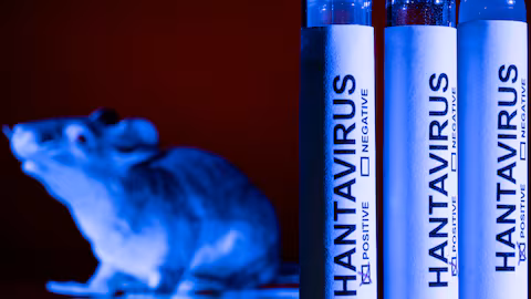 Bruselas llama a mantener la alerta ante posibles casos de hantavirus en Europa
