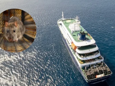 Aumentan a nueve los posibles casos de hantavirus vinculados al crucero MV Hondius, incluido un caso fuera del barco