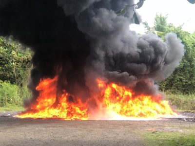 Inacif destruye más de dos toneladas de drogas