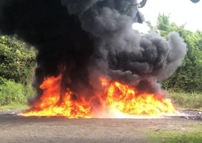 Inacif destruye más de dos toneladas de drogas