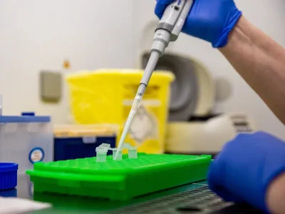 La OMS eleva a seis los casos confirmados de hantavirus tras positivo de un caso sospechoso