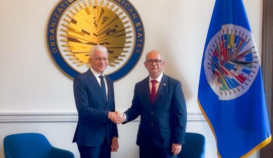 OEA destaca propuesta de República Dominicana contra las drogas sintéticas en reunión con el presidente del Senado