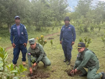 SENPA se une a Medio Ambiente, COOPINFA y la Armada en jornada de reforestación por el Día Nacional del Árbol