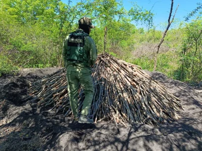 SENPA y Medio Ambiente refuerzan operativos de vigilancia ambiental en el país