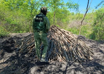SENPA y Medio Ambiente refuerzan operativos de vigilancia ambiental en el país