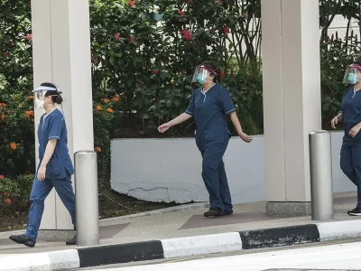 Singapur aísla a dos residentes tras brote de hantavirus en crucero