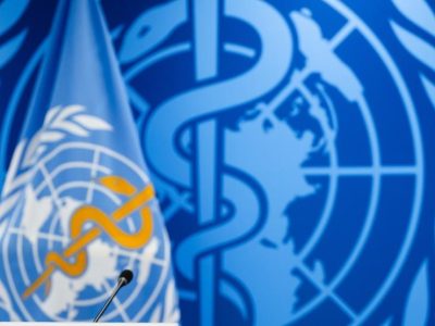OMS aclara que el hantavirus se transmite solo por contacto cercano con posible exposición a saliva