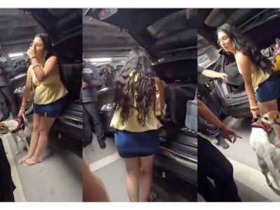 Mujer es denunciada en Francia por dejar a su perro encerrado en el baúl de un auto bajo altas temperaturas