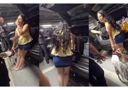 Mujer es denunciada en Francia por dejar a su perro encerrado en el baúl de un auto bajo altas temperaturas