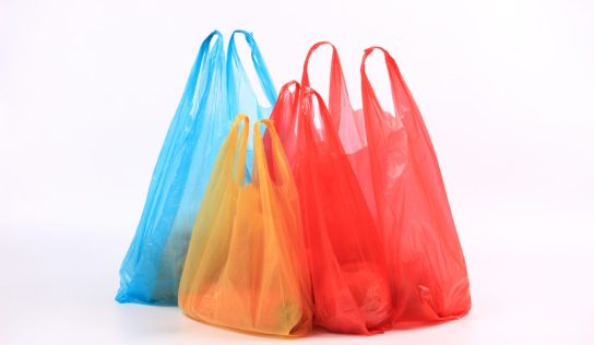 Expertos advierten: bolsas plásticas no van en reciclaje doméstico
