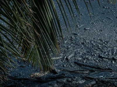 Venezuela alerta sobre grave afectación ambiental en el Golfo de Paria por derrame de petróleo desde Trinidad y Tobago