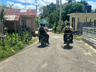 DNCD ejecutó 242 allanamientos en abril