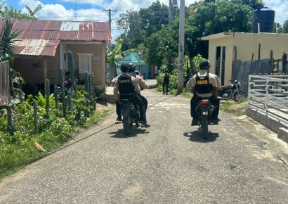 DNCD ejecutó 242 allanamientos en abril
