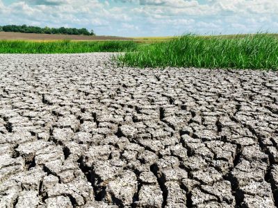 Nueva Jersey declara emergencia agrícola por ola de frío