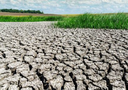 Nueva Jersey declara emergencia agrícola por ola de frío
