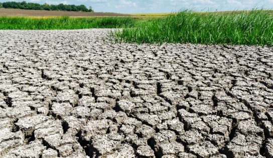 Nueva Jersey declara emergencia agrícola por ola de frío