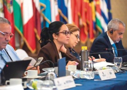 Ministra Faride Raful aboga por una «alianza real» entre sectores para combatir las drogas y el crimen organizado