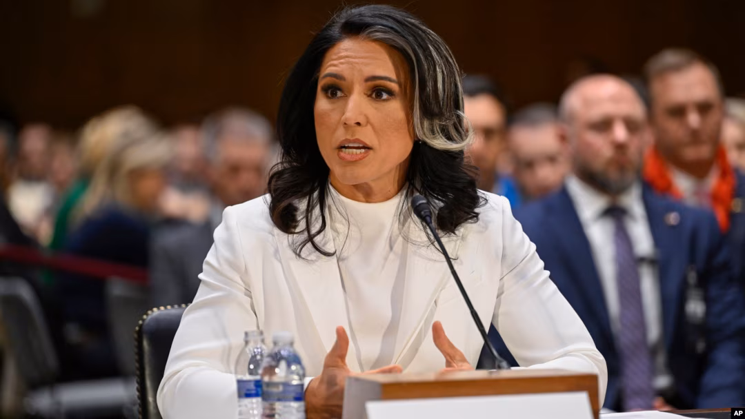 Exdirectora de Inteligencia de EE. UU. Tulsi Gabbard acusa al doctor Fauci de ocultar información sobre el origen del COVID-19