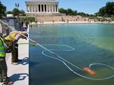 Estanque reflectante de Washington vuelve a teñirse de verde tras remodelación de Trump