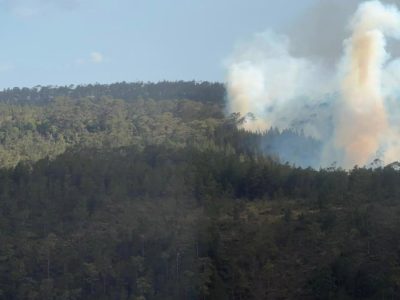 Extinguen incendio en Sierra de Bahoruco
