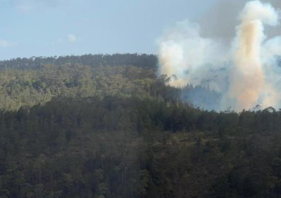 Extinguen incendio en Sierra de Bahoruco