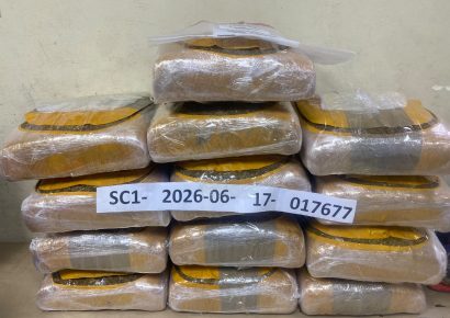 DNCD ocupa 129 libras de marihuana en Azua