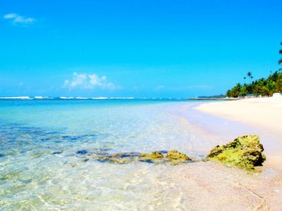 Estudio revela que la conservación de las playas dominicanas depende directamente de los ecosistemas marinos