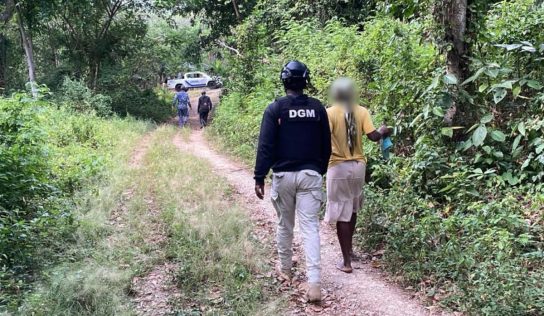 DGM detuvo a 966 extranjeros en operativos de interdicción en varias provincias