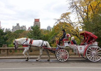 PETA exige prohibición de carruajes de caballos en Nueva York tras nuevo accidente en Central Park