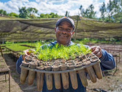 Medio Ambiente llama a valorar la naturaleza como pilar de la vida y el desarrollo del país
