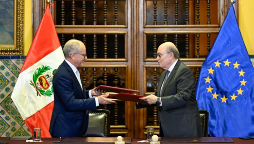Misión de la UE valoró transparencia y denunció discriminación en Perú