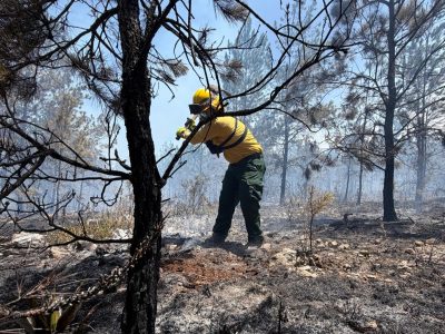 Incendio en la Sierra de Bahoruco avanza hacia fase de control con un 70 % del perímetro estabilizado