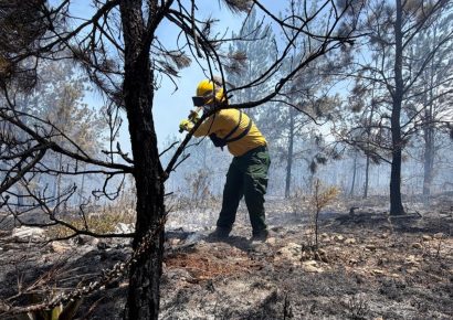 Incendio en la Sierra de Bahoruco avanza hacia fase de control con un 70 % del perímetro estabilizado