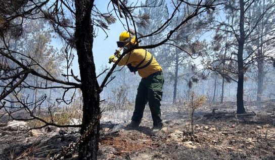 Incendio en la Sierra de Bahoruco avanza hacia fase de control con un 70 % del perímetro estabilizado