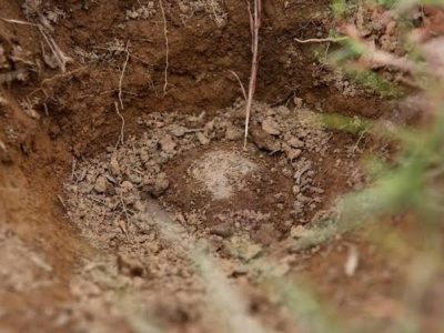 Hallan en fosa clandestina los cuerpos de pareja estadounidense desaparecida en México